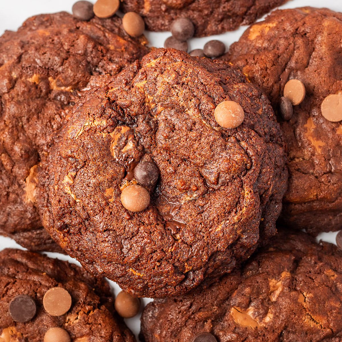 Double Chocolate Cookie