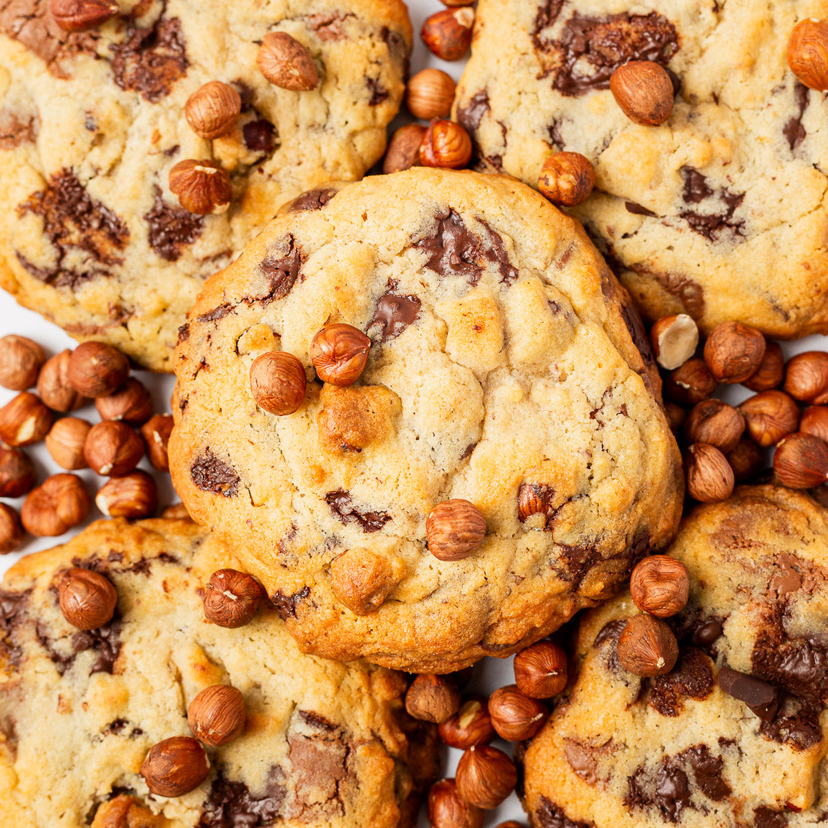 Milk Chocolate Hazelnut Cookie